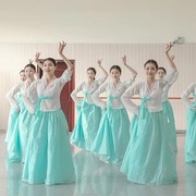 朝鲜舞族舞蹈演出服，女少数民族成人艺考学生，表演服装练功练习考级