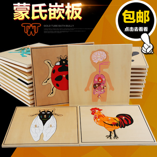 蒙氏教具动植物蒙特梭利嵌板，手抓板国际版，拼图1-3岁木质儿童玩具