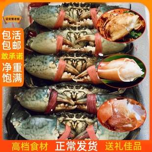两斤装净重4~6只东山岛鲜活青蟹螃蟹公蟹燕母处子蟹菜鲟一级肉蟹