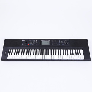 新韵电子琴XY655钢琴键盘73键力度钢琴成人儿童初学演奏型