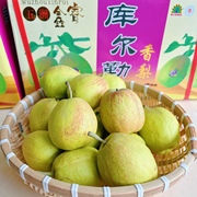 五洲鑫睿牌 正宗新疆库尔勒香梨12斤整箱 新鲜水果梨子 特甜