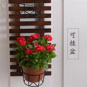 墙上壁挂花架阳台装饰爬藤架布置室内花支架植物支架客厅花篮架子