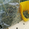 进口美国紫花苜蓿草饲料净重一公斤兔子干草兔粮用品