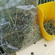 进口美国紫花苜蓿草饲料，净重一公斤兔子，干草兔粮用品
