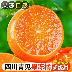 四川青见果冻橙当季整箱，新鲜桔子蜜橘孕妇，水果大果果园直发