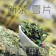 潮州凤凰单丛银花香抽湿绿色，新茶高山雪片清香青单枞鸭屎香乌龙茶