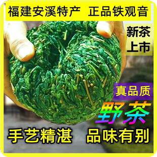 野茶安溪铁观音茶叶新茶，特级浓香型拖酸农家，乌龙试喝2024春茶