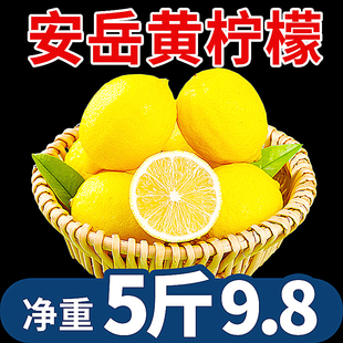 华秧安岳黄柠檬5斤新鲜水果当季现摘皮薄一二级香水小青金桔柠檬