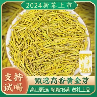 黄金芽茶叶2024新茶，明前特级高山绿茶，毛峰500g浓香型自己喝上市