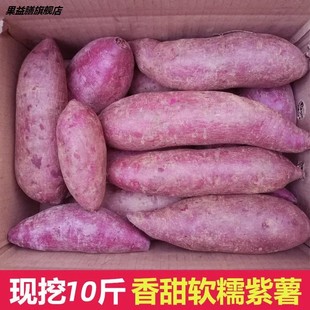 紫薯 新鲜 农家 板栗 沙地 地瓜 蔬菜 山芋
