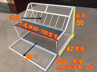 鸽子跳笼信鸽赛鸽用品，用具鸽棚鸽舍进口只进不出跳笼放飞笼门