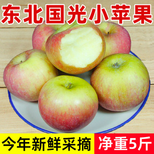 东北小国光苹果5斤装辽宁特产新鲜水果非烟台小红富士