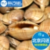 500g北京闪送鲜活黄蚬子(黄蚬子)大黄，蚬子海鲜花甲蛤蜊海捕水产