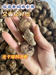 干香菇新货农家香菇干货2500克商用黄焖鸡用小香菇5斤剪根冬菇