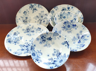 日本进口瓷器花集陶瓷凉拌菜防烫盘子老人寿碗釉下彩外贸碗有古窑