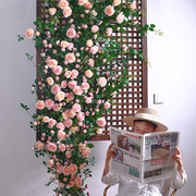 仿真玫瑰花空调管道装饰花藤条遮挡缠绕藤蔓植物吊顶墙面造景假花