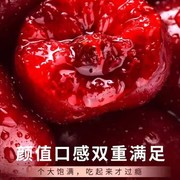 山东烟台美早大樱桃产地直发斤新鲜水果整箱包装当季品质优口感好