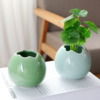 亲居蛋壳青瓷花器简约创意现代家居桌面装饰品，摆件水培器皿花瓶