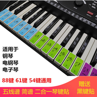 钢琴键盘贴88键61键电子琴手卷钢琴键贴谱简五线谱琴键键位音标贴