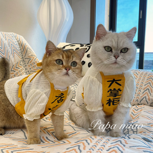 宠物打工围裙猫猫狗狗夏季薄款防掉毛衣服可爱搞怪喵巴克肚兜围嘴