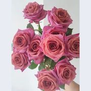 天然上色高级复古摩卡奶，茶色调香师玫瑰插花水养家用办公节日送花