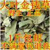 中药材野生大叶，金钱草广金钱草广东金钱草茶，500克批2斤发