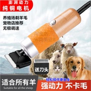 狗狗剃毛器大型犬巨贵推毛器泰迪猫咪专用大功率电推子宠物电推剪