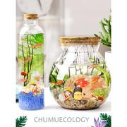 生态瓶科学diy微景观玻璃瓶小鱼生态瓶成品小学生科学课作业套