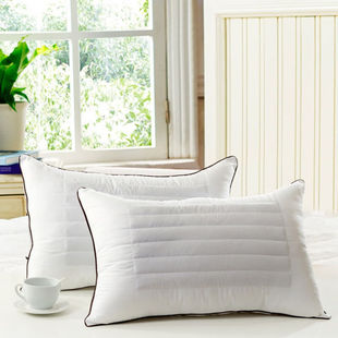 瑞琴天然荞麦两用枕芯单个超柔舒适枕护颈枕芯荞麦两用枕单只装