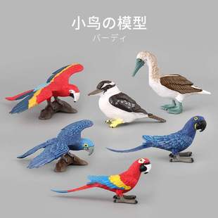 实心仿真野生动物鸟类模型实心，鹦鹉小鸟模型，装摄影摆件玩具