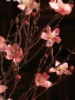 桃花落地干花树枝树枝装饰干花枝干花花束，真花干枝干花客厅装饰