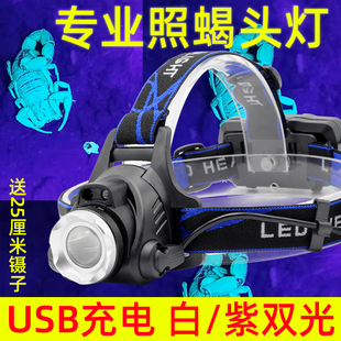 照蝎子专用灯头强光头戴式手电筒，可充电照豆虫灯超亮紫光usb充电