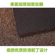 丝圈地垫进门入户门口门垫家用塑料脚垫客厅地毯pvc防滑垫可裁剪