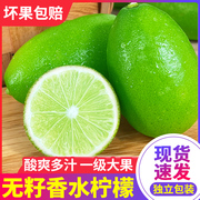 海南香水柠檬9斤新鲜现摘应当季水果广东青柠檬，奶茶店专用10