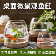 创意圆形透明玻璃鱼缸 客厅家用生态金鱼缸