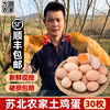 苏北农家土鸡蛋30枚鸡蛋新鲜散养正宗农村草鸡蛋柴笨鸡蛋