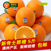 新鲜超甜新奇士(新奇士，)脐橙5斤大果黑蓝标40123107香甜橙子水果