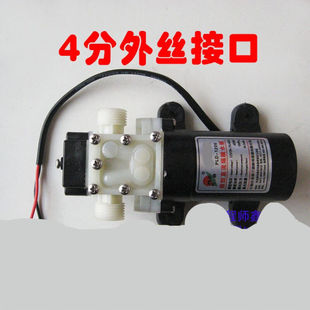 4分接口小水泵家用微型水泵自吸泵直流12Ｖ抽水泵电泵12V25泵带电