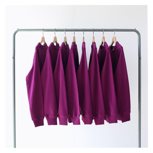 2020秋季薄款紫红色火龙果，色墨紫色毛圈圆领，卫衣男女bf风常规
