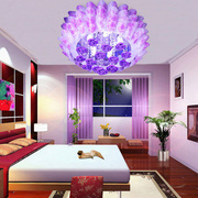 简约现代温馨浪漫粉红色紫罗兰色，卧室客厅餐厅，led田园水晶吸顶灯