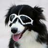 宠物配饰墨镜太阳镜护目镜，可折叠防晒防风镜金毛，中大型狗狗眼镜