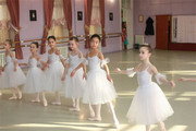 六一儿童芭蕾舞裙天鹅湖白色，芭蕾吊带裙小天鹅舞蹈，裙演出服蓬蓬裙