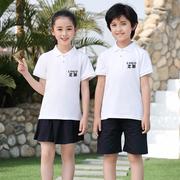表演服男童女童纯白色短袖T恤翻领polo衬衫 空白中小学生校服制服