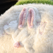 可爱立体兔子情侣装秋冬毛衣甜美少女感马海毛针织衫外套2023