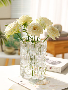 轻奢高档加厚水晶花瓶玻璃，透明水培鲜花ins风餐桌插花客厅摆件