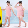 胖女童游泳衣中大童女孩分体，遮肚加肥加大码，儿童12女款泳装泡温泉