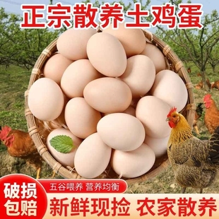 筱诺新鲜农村土鸡蛋40g枚农家散养自养天然柴鸡蛋笨鸡蛋草鸡蛋