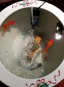 陶瓷缸专用鱼缸过滤器氧气泵机静音增氧泵打氧加氧陶缸用滤水净水