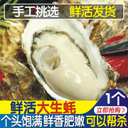 乳山生蚝鲜活 海鲜水产生鲜牡蛎新鲜海蛎子蒜蓉烧烤重庆20只