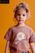 英国next女中小童，棕色向日葵短袖t恤纯棉，运动衫420-613